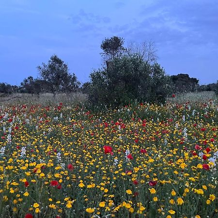Agriturismo Villa Coluccia Martano Zewnętrze zdjęcie