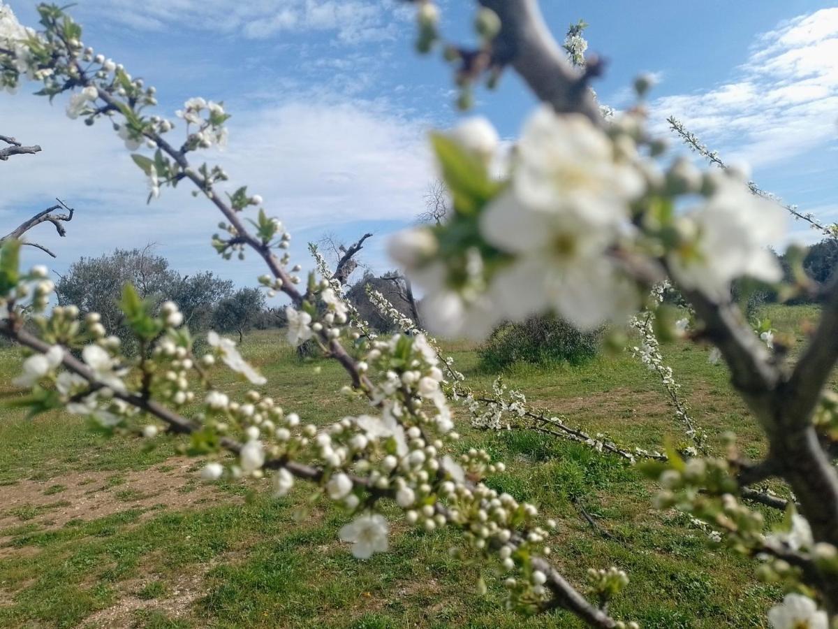 Agriturismo Villa Coluccia Martano Zewnętrze zdjęcie