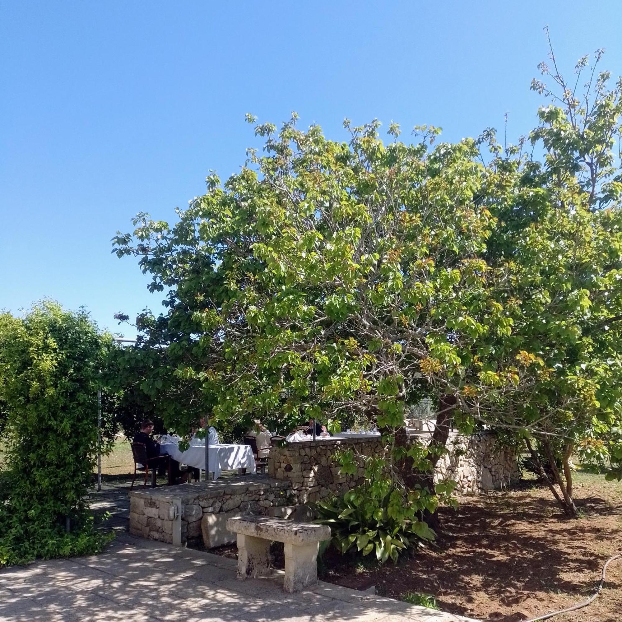 Agriturismo Villa Coluccia Martano Zewnętrze zdjęcie