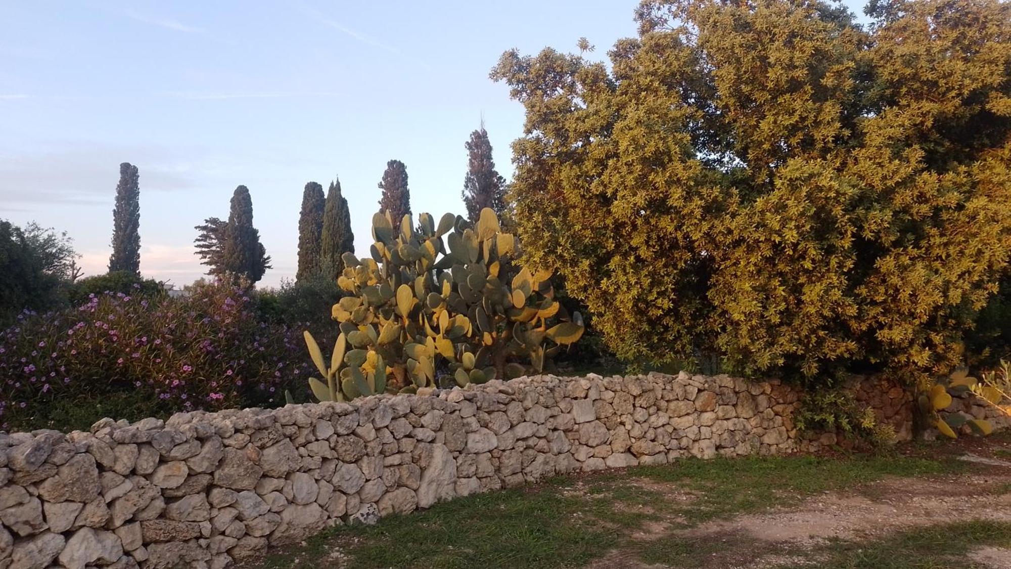 Agriturismo Villa Coluccia Martano Zewnętrze zdjęcie